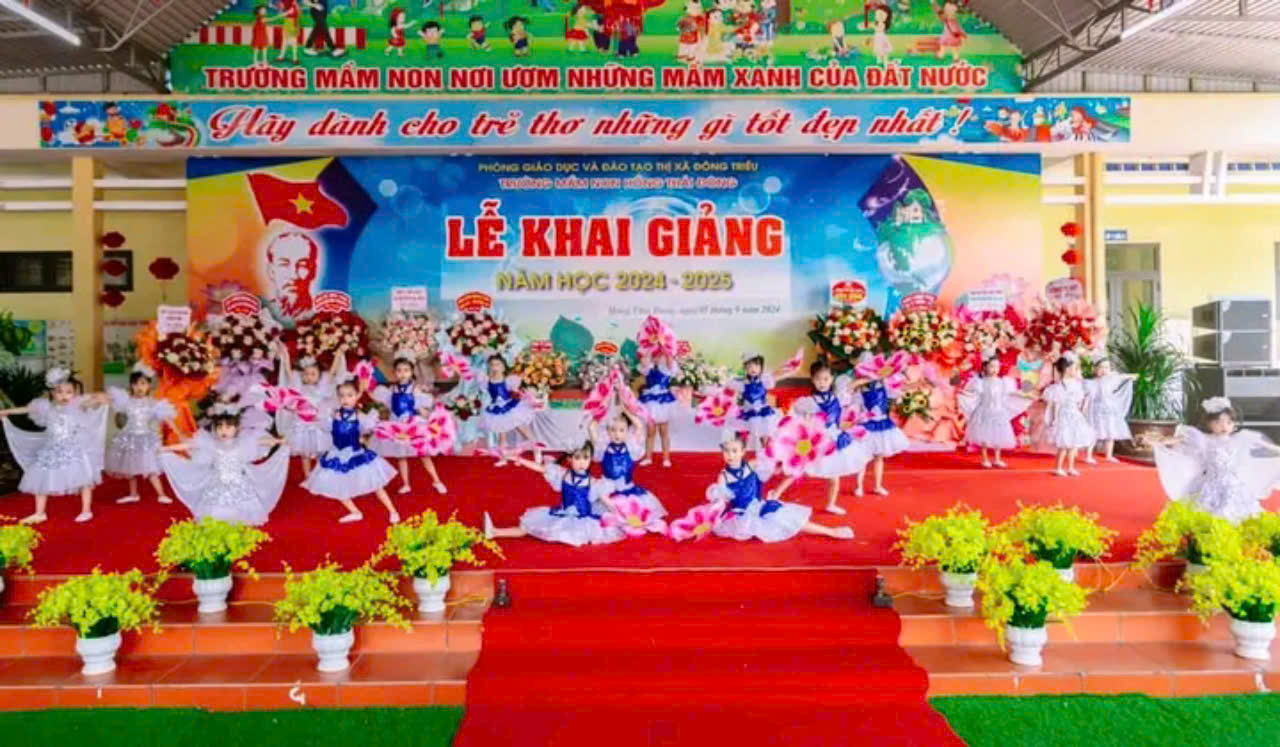 vn20.jpg